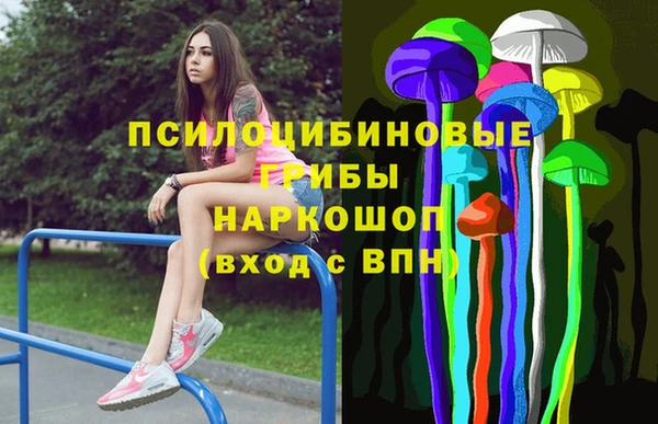 соль ск Лиски
