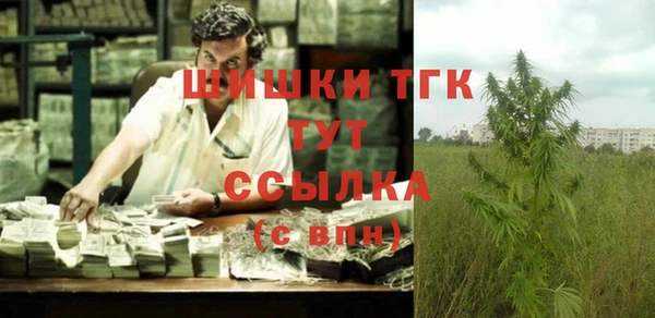 ГАЛЛЮЦИНОГЕННЫЕ ГРИБЫ Лихославль