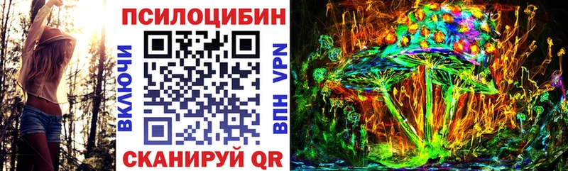 Галлюциногенные грибы Psilocybine cubensis  Кондрово 